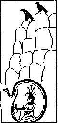  (123x255, 3Kb)