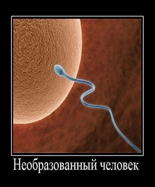  (500x605, 43Kb)