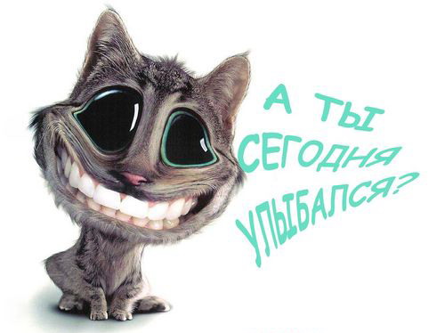  (500x374, 35Kb)
