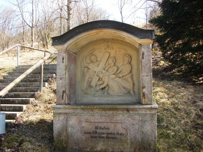 DSC09154 (700x525, 198 Kb)