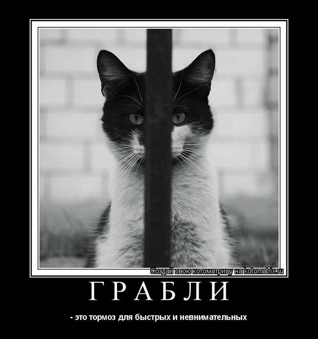  (655x699, 43Kb)