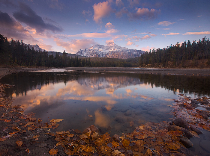 Марк адамус фотографии