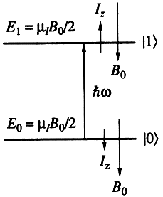 optical networking and