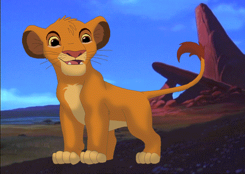Симба игра куба котики. Король Лев Симба маленький. Симба из короля Льва. Симбачка пимбачка. Тик - токер Симба. Симба.