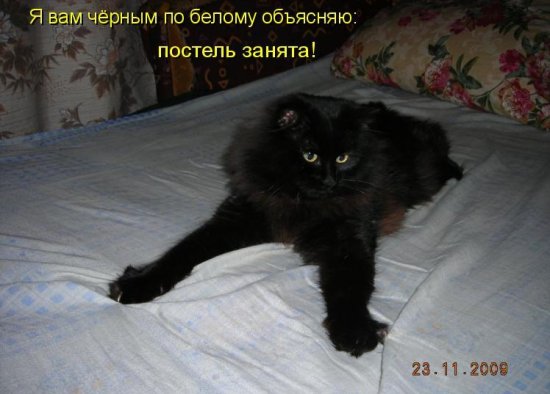 http://img0.liveinternet.ru/images/attach/c/2/65/196/65196148_033.jpg