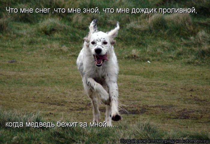 http://img0.liveinternet.ru/images/attach/c/2/65/484/65484241_1287450351_1_15.jpg