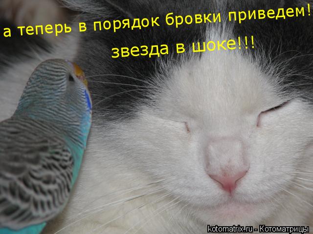 http://img0.liveinternet.ru/images/attach/c/2/67/17/67017356_Y0.jpg