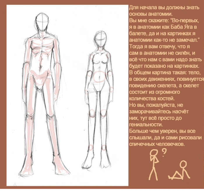 С чего следует начинать рисунок человека