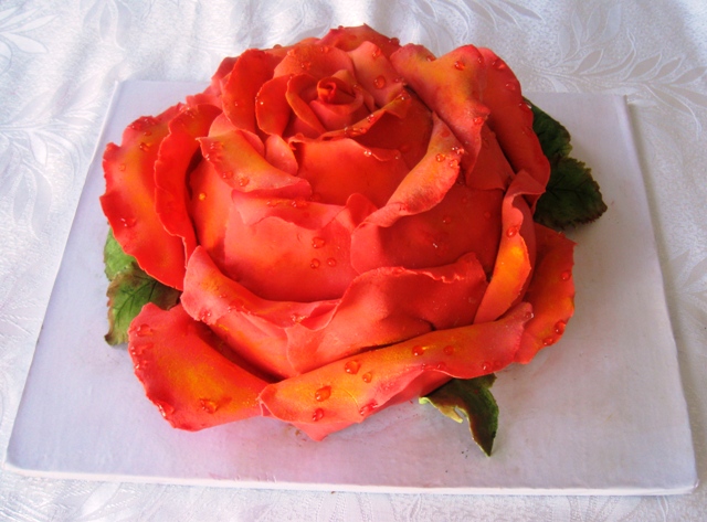 Картинка майская роза