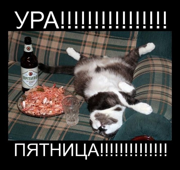 Наконец то пятница картинки прикольные это сегодня