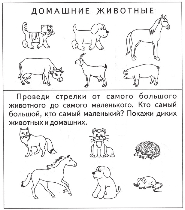 Картинки с домашними животными для детей распечатать