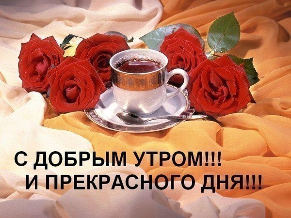 http://img0.liveinternet.ru/images/attach/c/2/70/512/70512334_S_DOBRUYM_UTROM_I_PREKRASNOGO_DNYA.jpg
