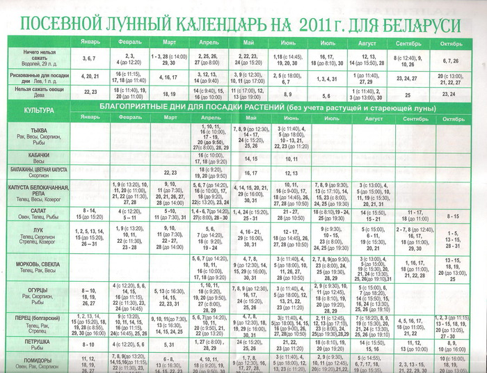 Посевной календарь средней полосы россии 2024 год