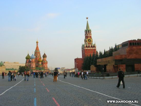 Фото белуги в москве