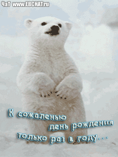 http://img0.liveinternet.ru/images/attach/c/2/72/548/72548057_K_SOZHALENYU_DEN_ROZHDENIYA_TOLKO_RAZ_V_GODU.gif