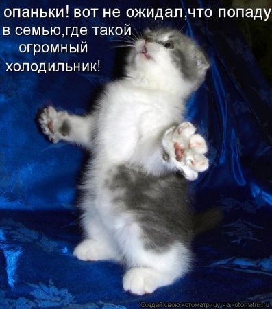 http://img0.liveinternet.ru/images/attach/c/2/72/556/72556589_1301036357_1300969039_861742.jpg