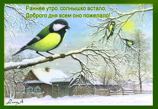 http://img0.liveinternet.ru/images/attach/c/2/72/846/72846144__65533_65533_65533_65533_65533_65533_65533_655332.gif
