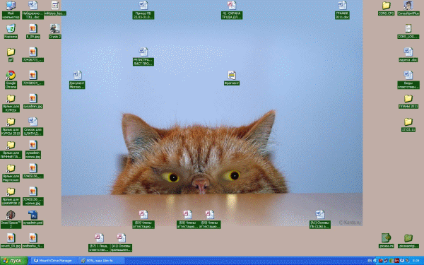 Следует за курсором. Обои которые следят за курсором. Анимированные обои которые следят за курсором. Кот следит. Кот за курсором мышки на рабочем столе.