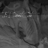 3836039_72014130_y_c2af9fee (100x100, 6Kb)