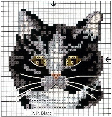 biser_info_142523598149e50a12701b4_o (480x500, 74Kb)