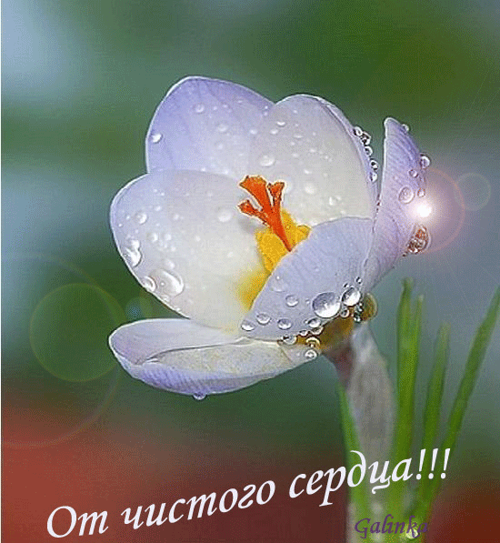 ----.jpeg (550x597, 458Kb)