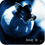 bb_01 (150x150, 41Kb)