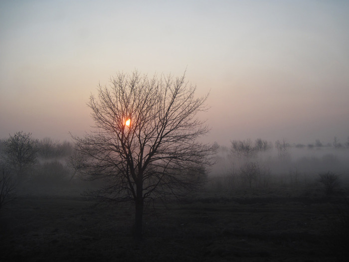 IMG_4390 (700x525, 64Kb)