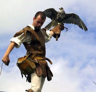 4163023_falconer (322x307, 31Kb)