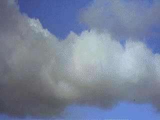 tumblr_lffjx1Eb6t1qgvb28o1_400 (320x240, 481Kb)