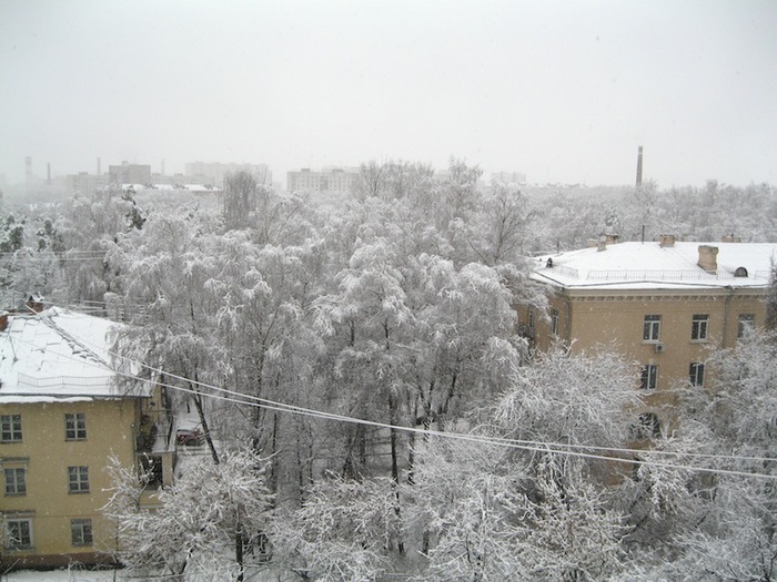 3939699_IMG_4310 (700x525, 131Kb)