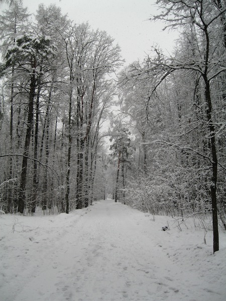 3939699_IMG_4321 (450x600, 125Kb)