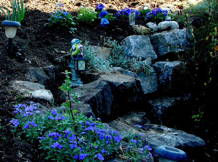 DSC09368 (700x522, 206Kb)