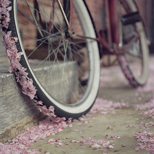 3587918_105 (500x500, 156Kb)