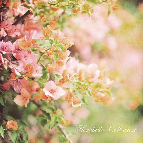 3587918_115 (500x500, 63Kb)