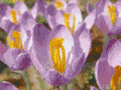 3937664_Bezimyannii(2) (240x179, 11Kb)