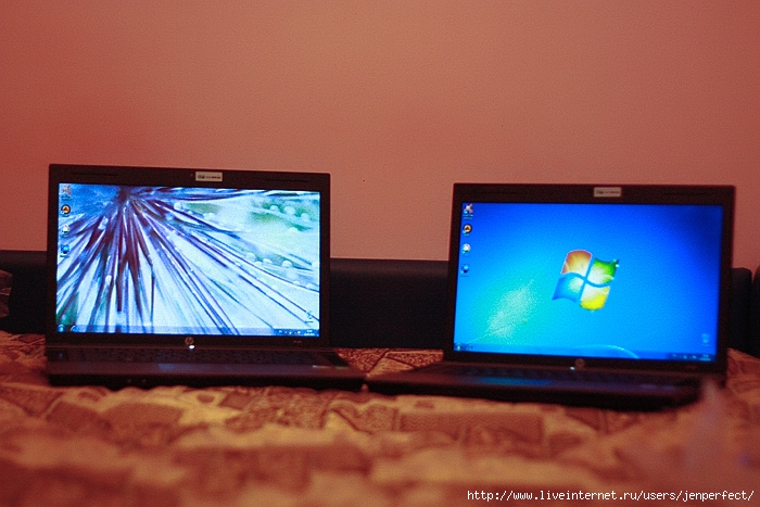 IMG_9003 (700x467, 260Kb)