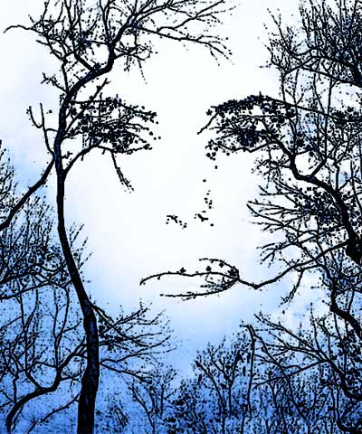 3474437_zerno_0 (400x480, 56Kb)
