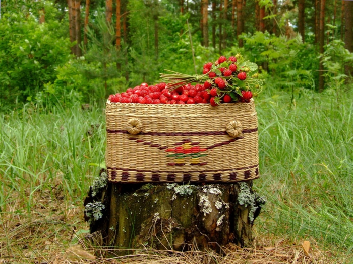 4278666_Food_Fruits_and_Berryes_Basket_with_wild_strawberry_021289_ (700x525, 360Kb)