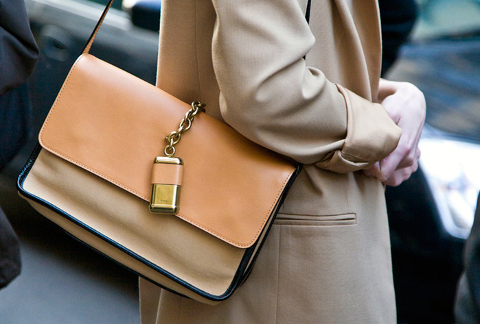 4161169_chloebag (700x473, 102Kb)