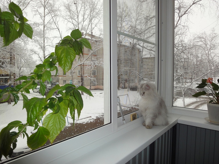 DSC01528 (700x525, 193Kb)