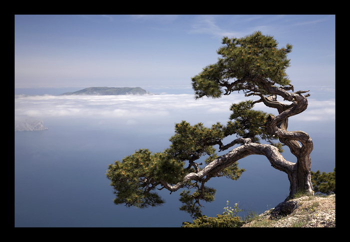 2785851_large (700x485, 115Kb)