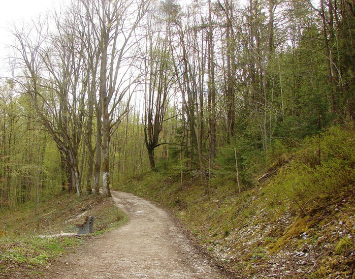 DSC09573 (700x549, 213Kb)