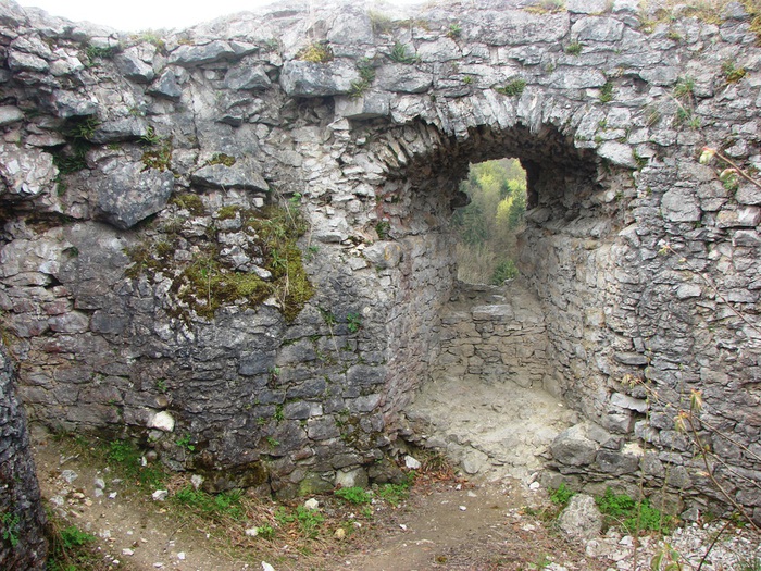 DSC09594 (700x525, 231Kb)