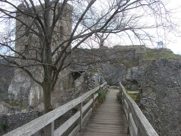 DSC09608 (700x525, 207Kb)