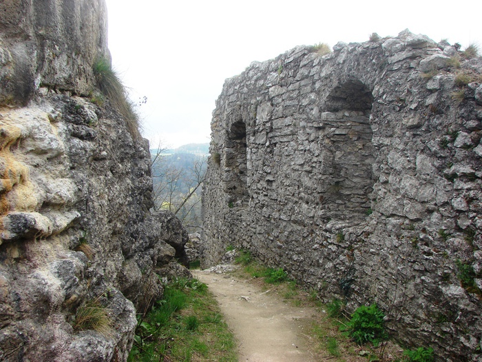 DSC09612 (700x525, 225Kb)