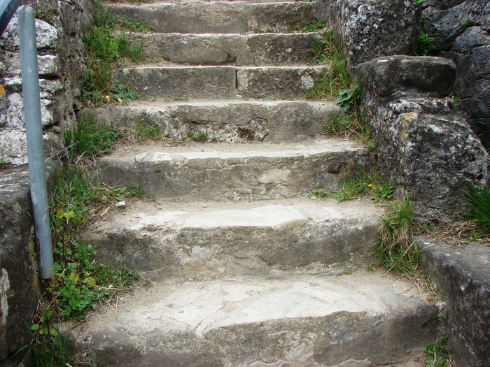 DSC09614 (700x525, 207Kb)