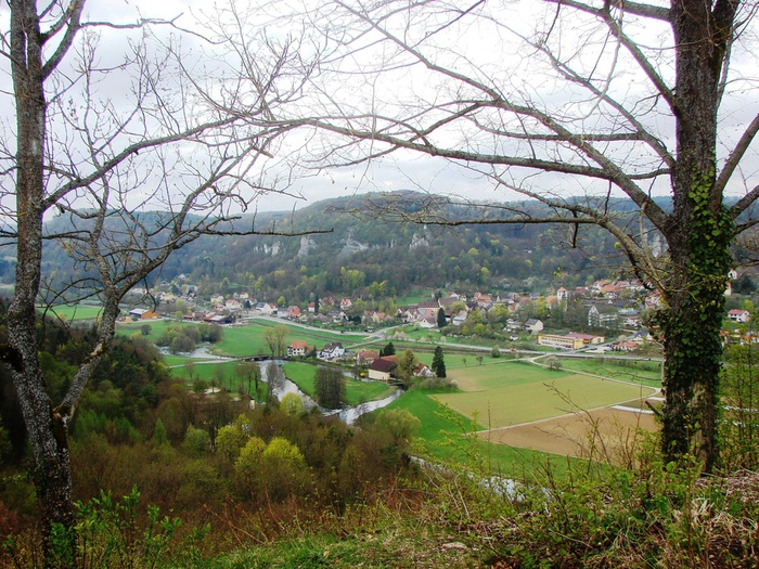 DSC09597 (700x525, 233Kb)