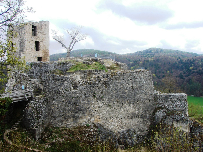 DSC09604 (700x525, 214Kb)