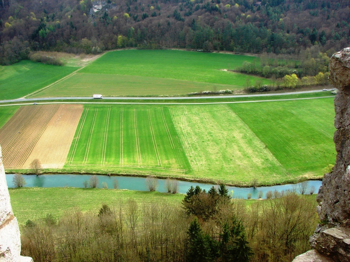 DSC09619 (700x525, 238Kb)