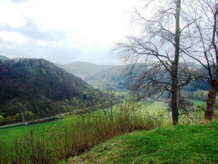 DSC09603 (700x525, 209Kb)